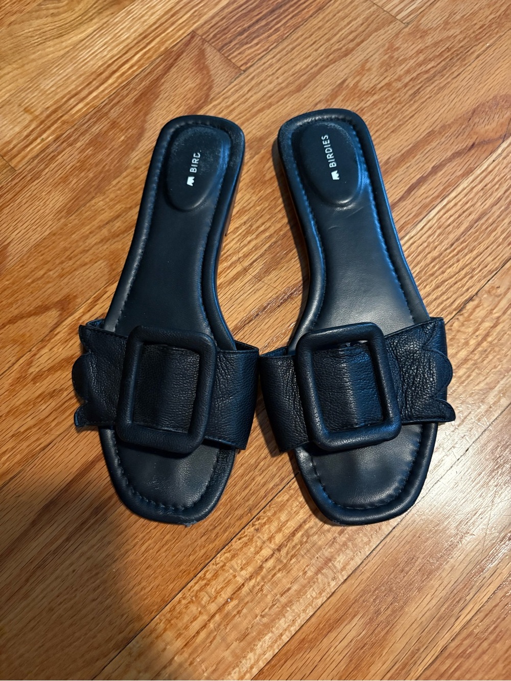 Birdies “The Kiwi” Black Leather Slide Sandals with Buckle